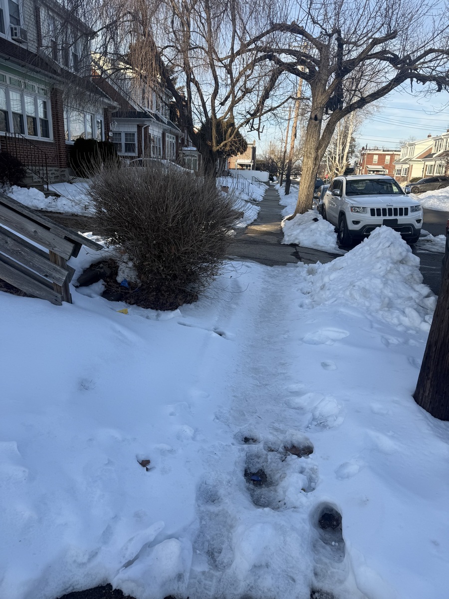 Photographic documentation of the work as submitted to the city's 311 record.