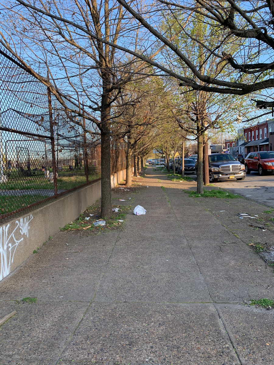 Photographic documentation of the work as submitted to the city's 311 record.