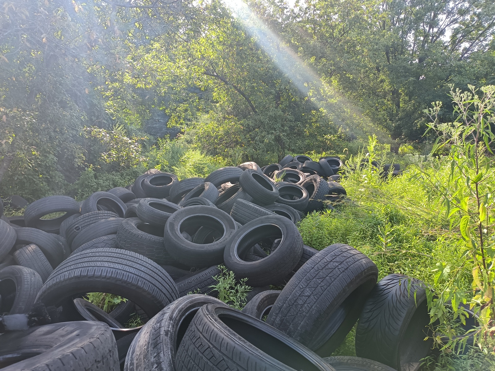 Photographic documentation of the work as submitted to the city's 311 record.