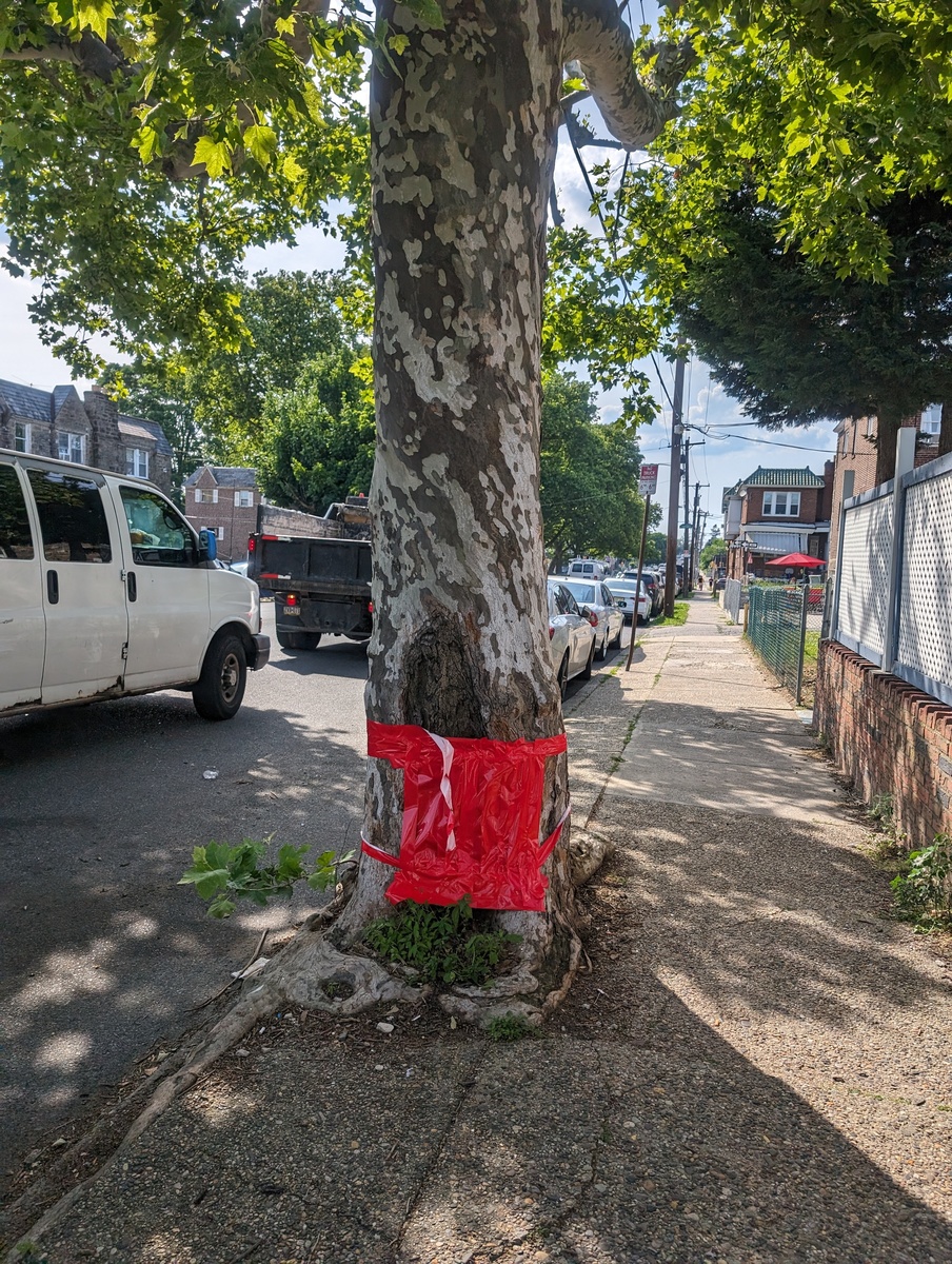 Photographic documentation of the work as submitted to the city's 311 record.