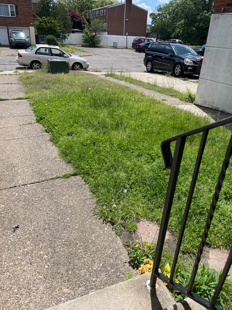 Photographic documentation of the work as submitted to the city's 311 record.