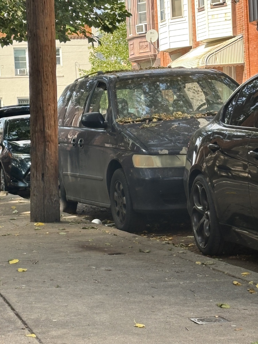 Photographic documentation of the work as submitted to the city's 311 record.