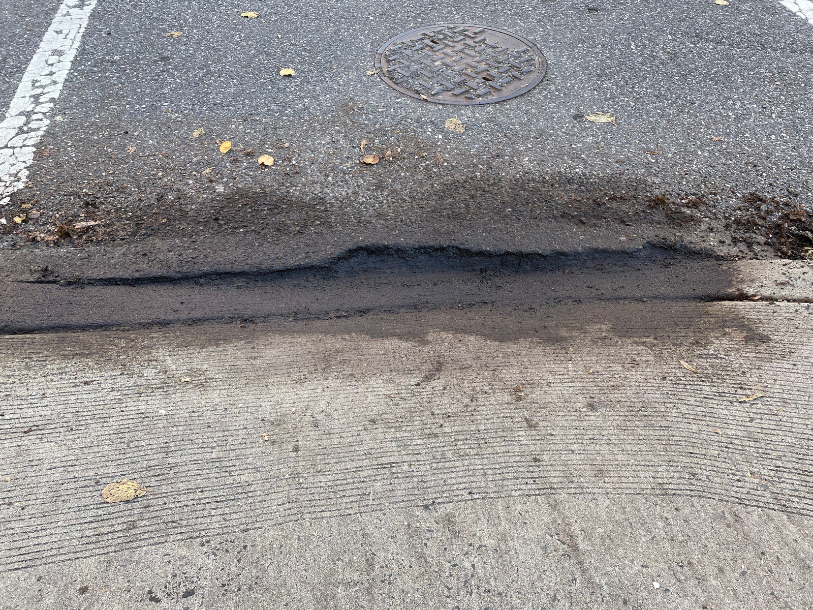 Photographic documentation of the work as submitted to the city's 311 record.