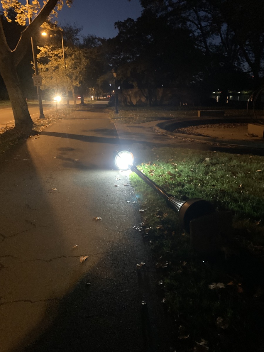 Photographic documentation of the work as submitted to the city's 311 record.