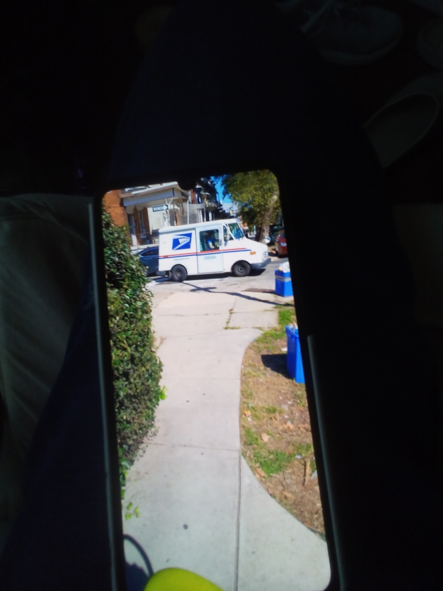 Photographic documentation of the work as submitted to the city's 311 record.