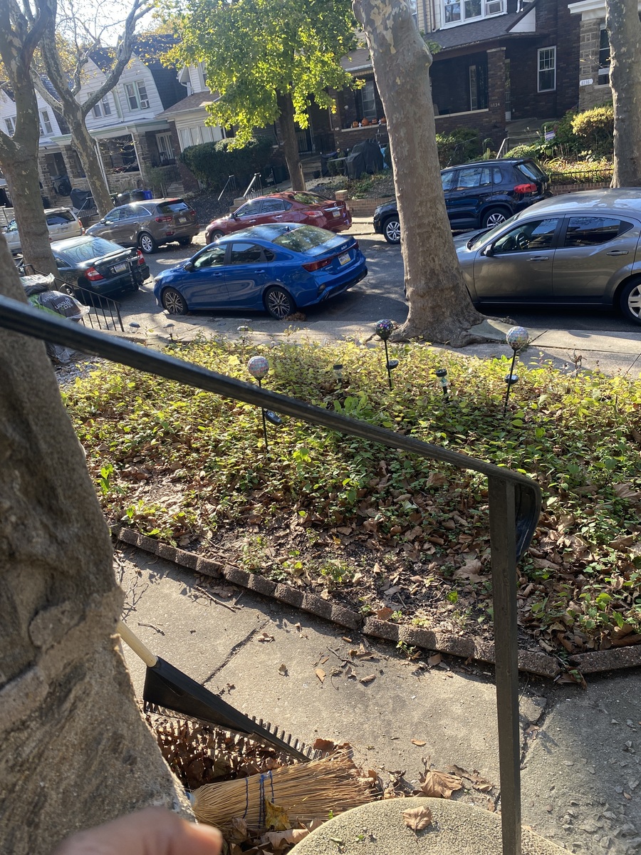 Photographic documentation of the work as submitted to the city's 311 record.