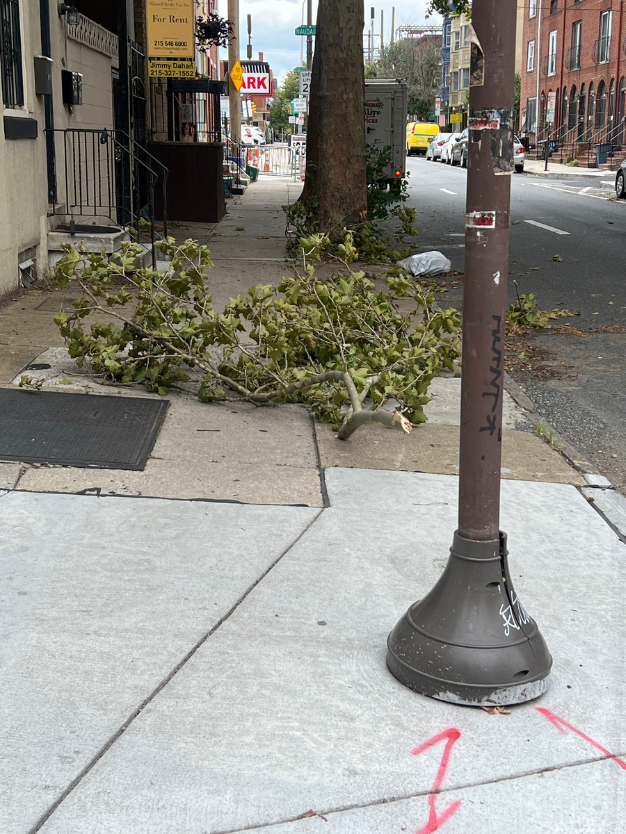 Photographic documentation of the work as submitted to the city's 311 record.