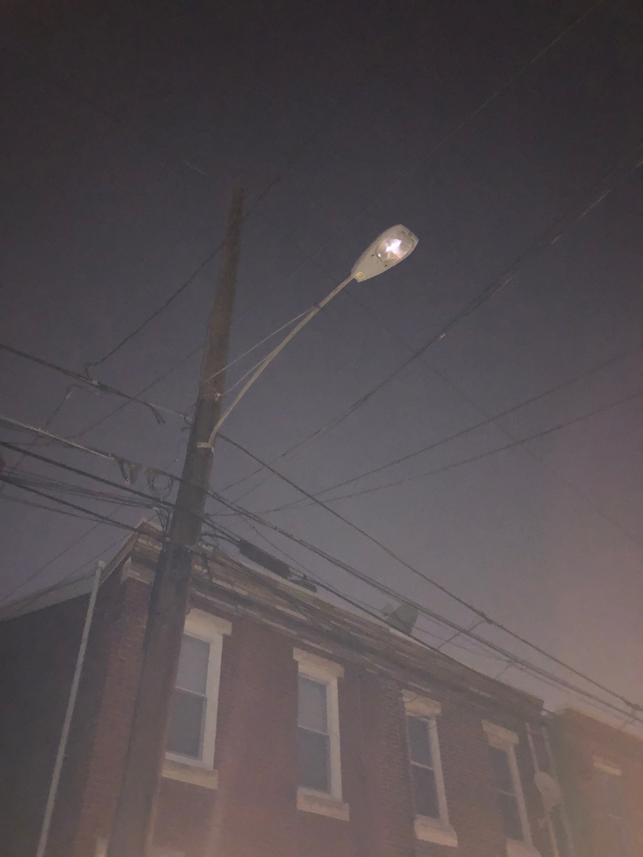 Photographic documentation of the work as submitted to the city's 311 record.