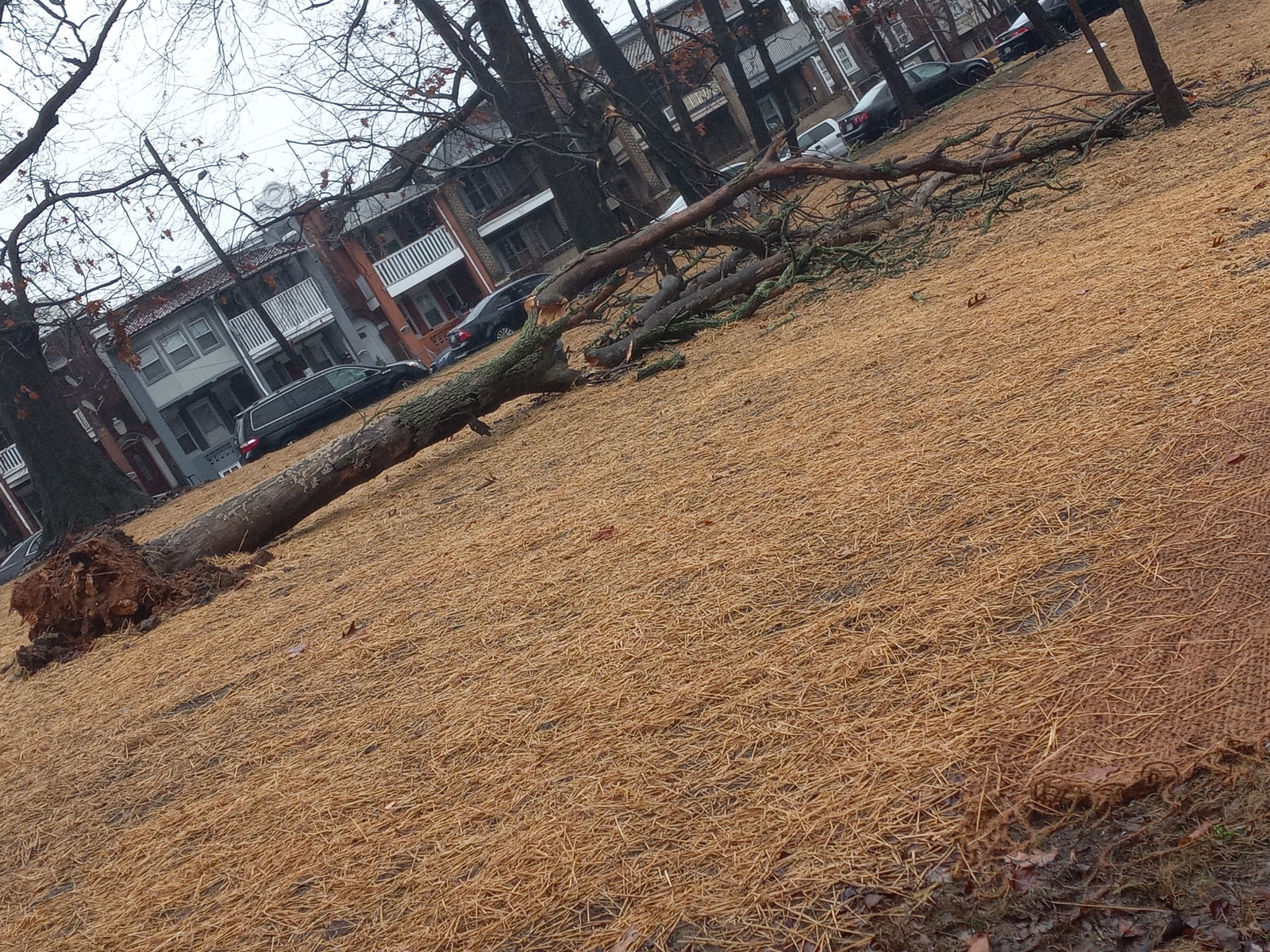 Photographic documentation of the work as submitted to the city's 311 record.