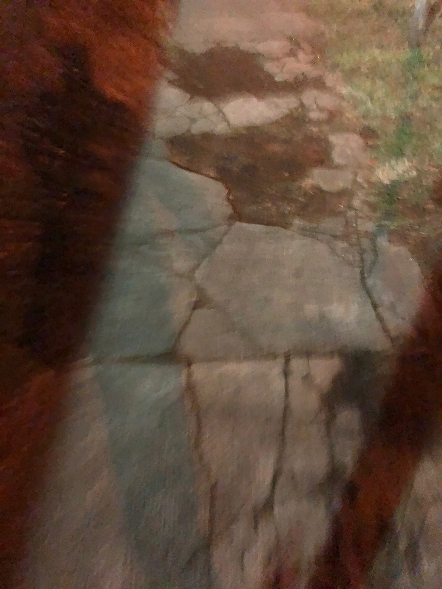 Photographic documentation of the work as submitted to the city's 311 record.