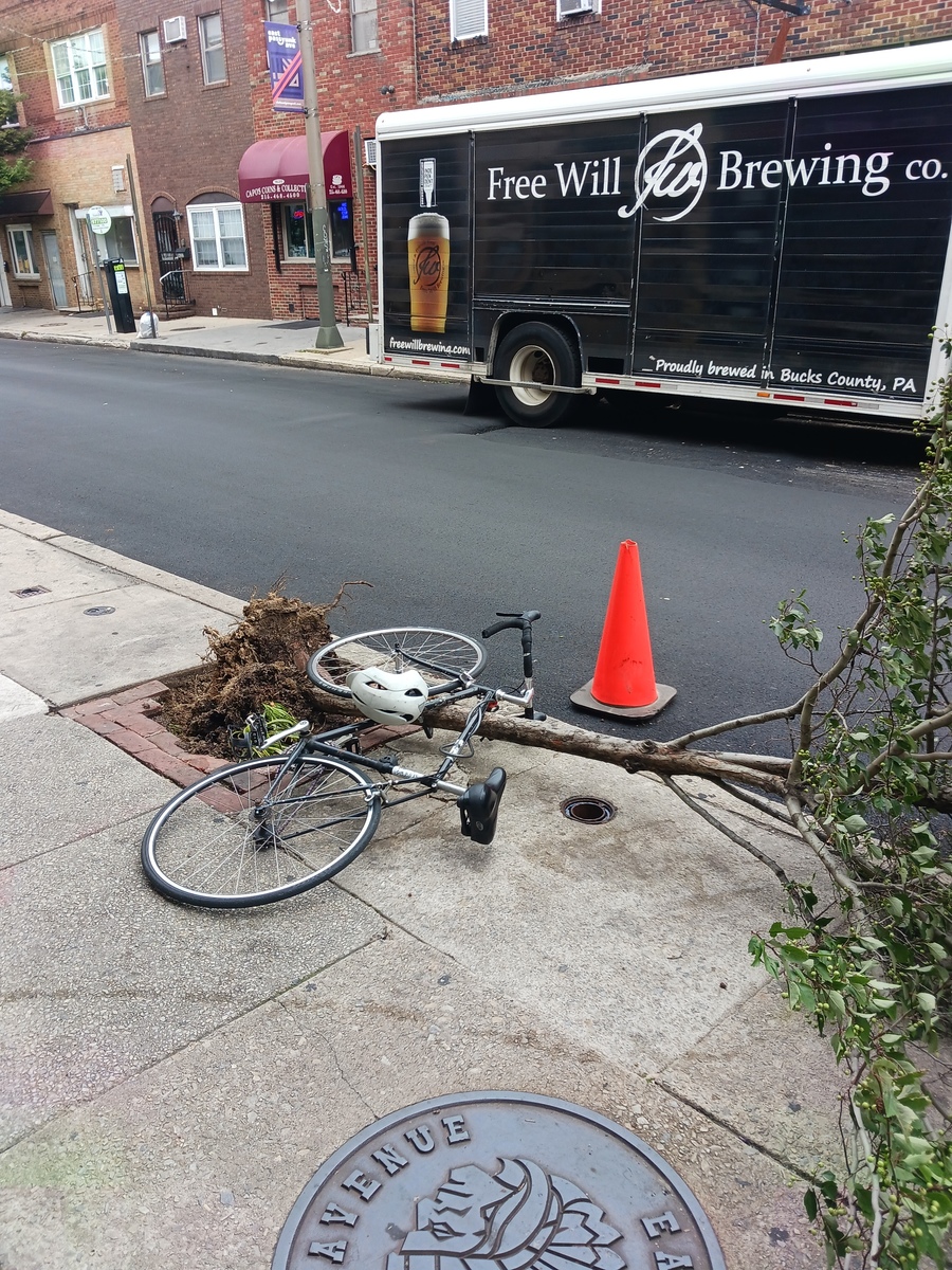Photographic documentation of the work as submitted to the city's 311 record.