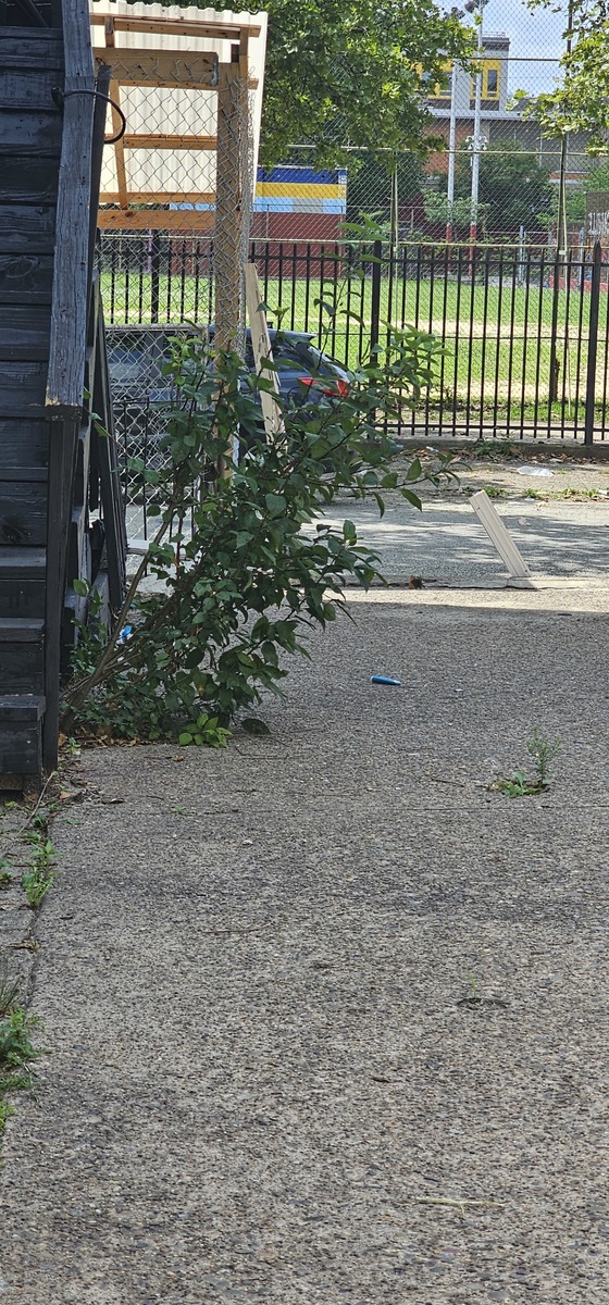 Photographic documentation of the work as submitted to the city's 311 record.