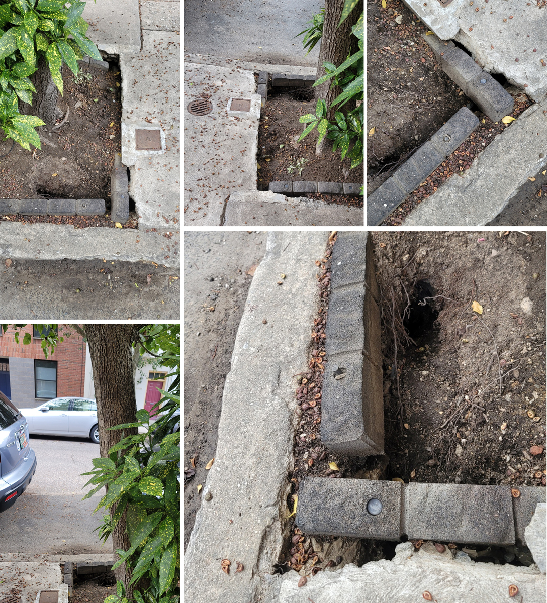 Photographic documentation of the work as submitted to the city's 311 record.