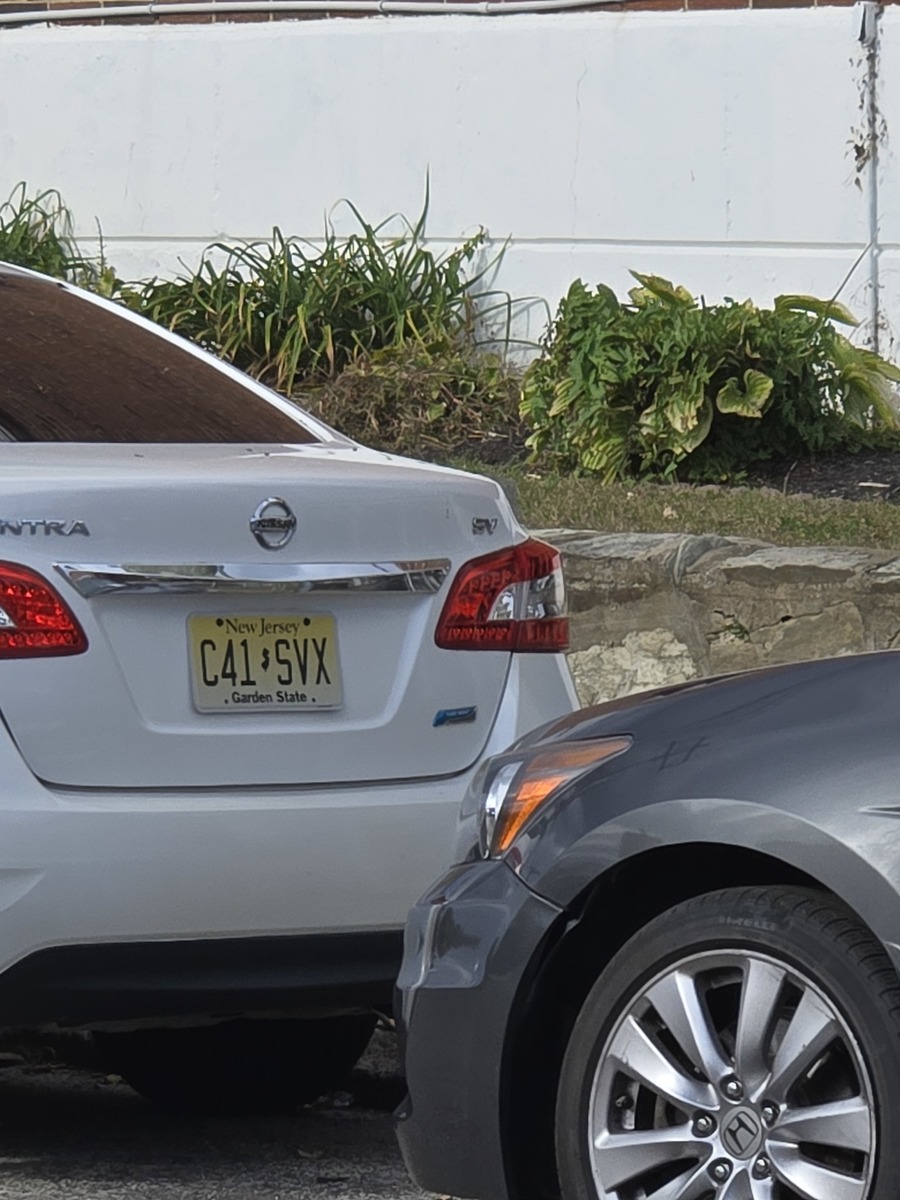 Photographic documentation of the work as submitted to the city's 311 record.