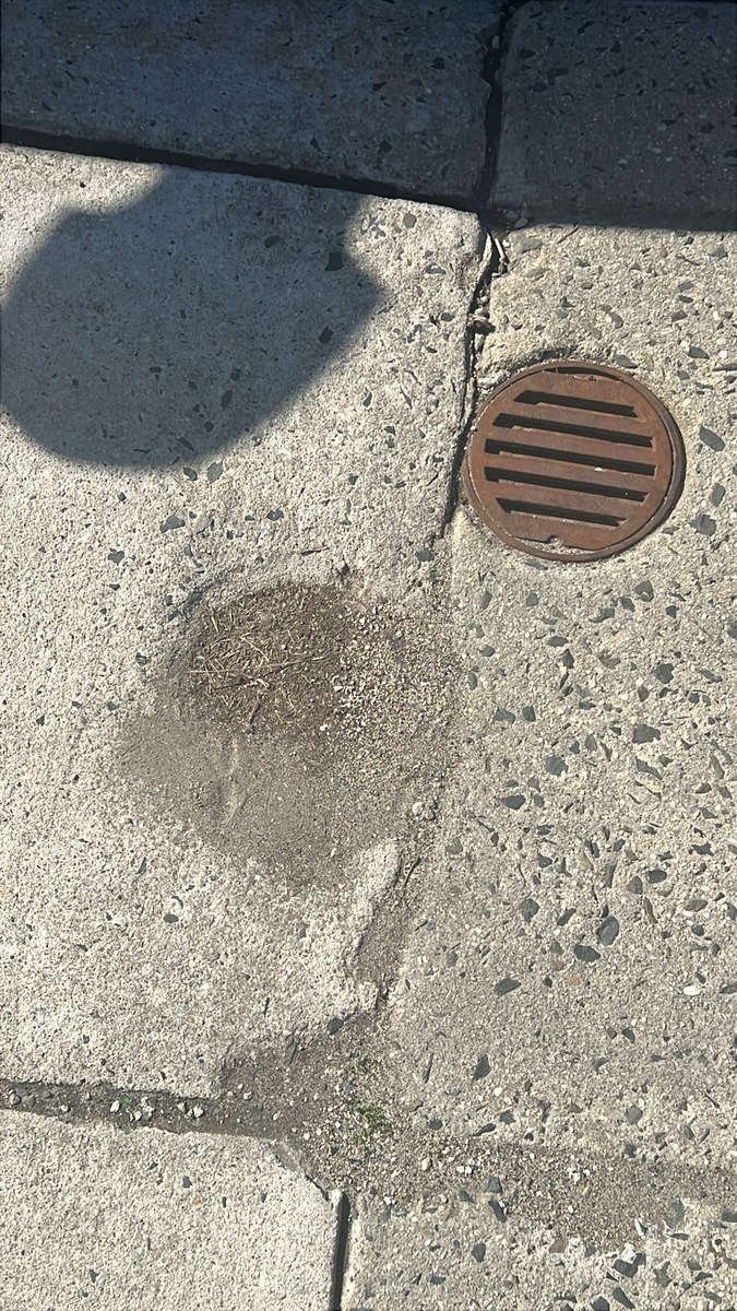 Photographic documentation of the work as submitted to the city's 311 record.