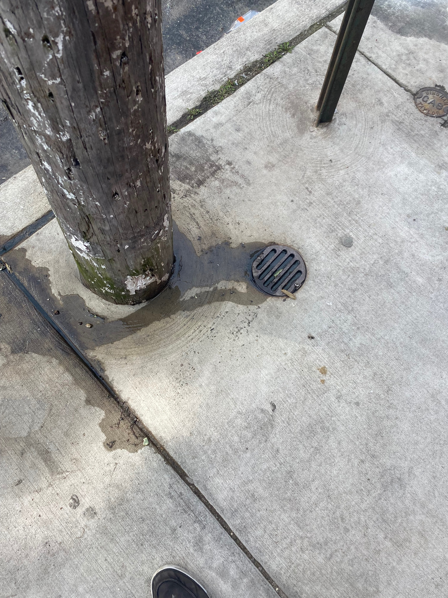 Photographic documentation of the work as submitted to the city's 311 record.