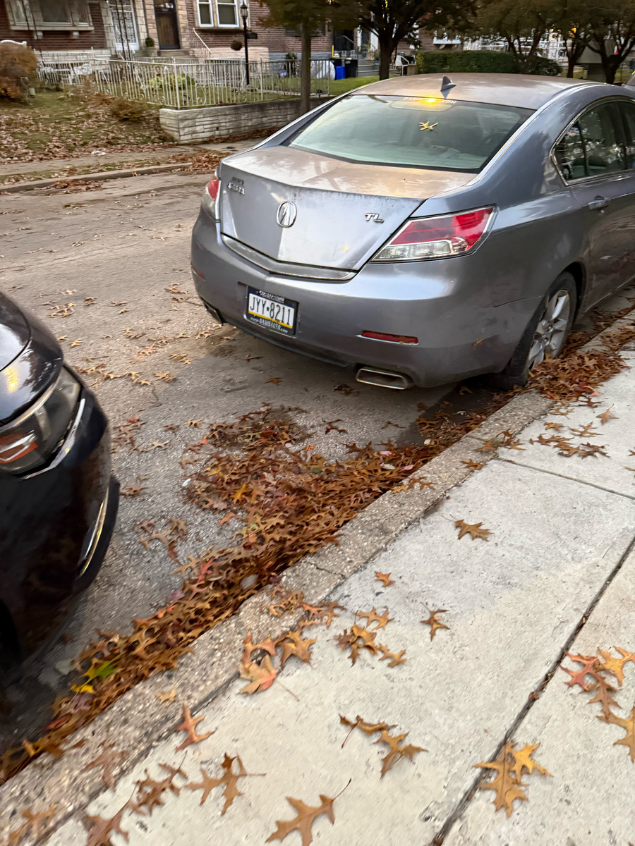Photographic documentation of the work as submitted to the city's 311 record.