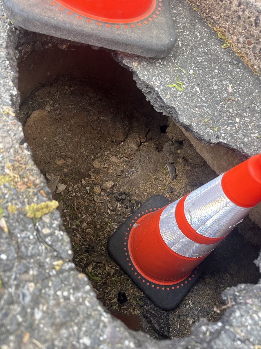 Photographic documentation of the work as submitted to the city's 311 record.