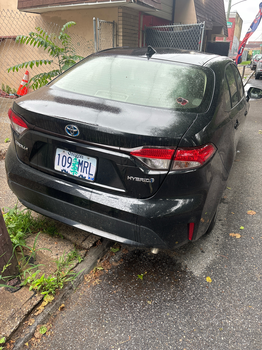 Photographic documentation of the work as submitted to the city's 311 record.