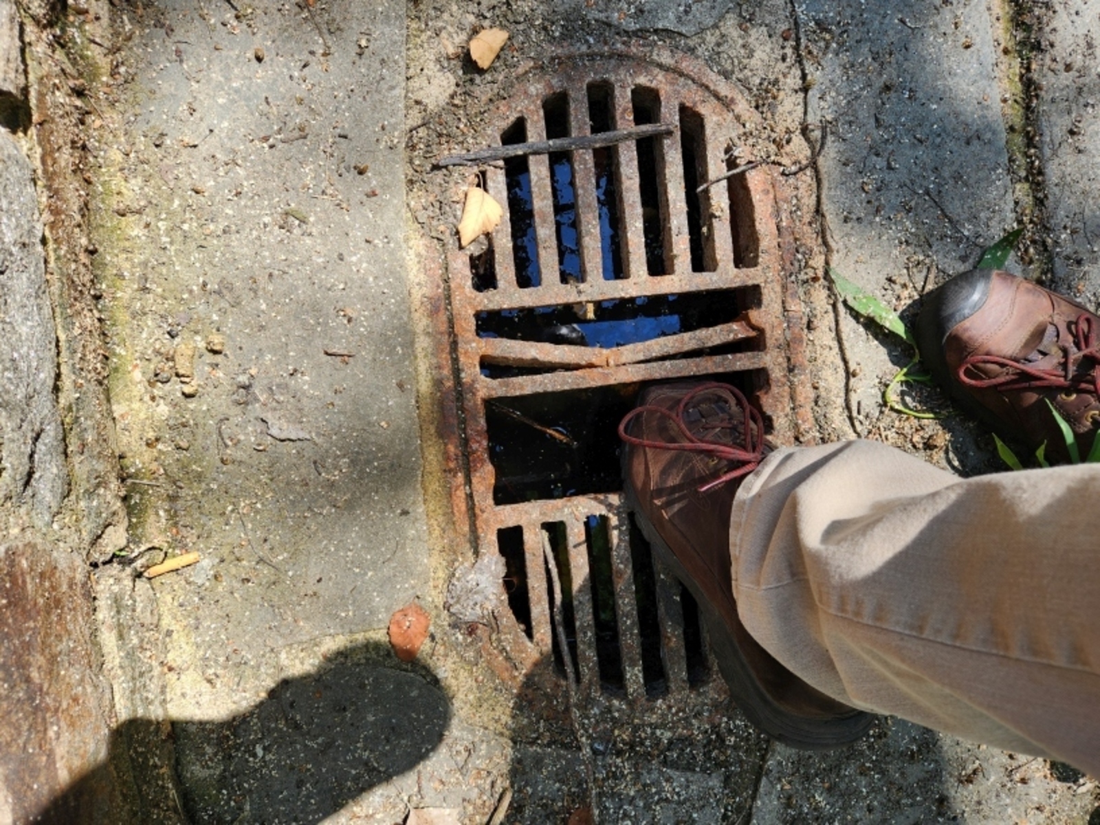 Photographic documentation of the work as submitted to the city's 311 record.