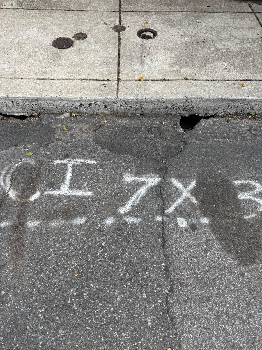 Photographic documentation of the work as submitted to the city's 311 record.