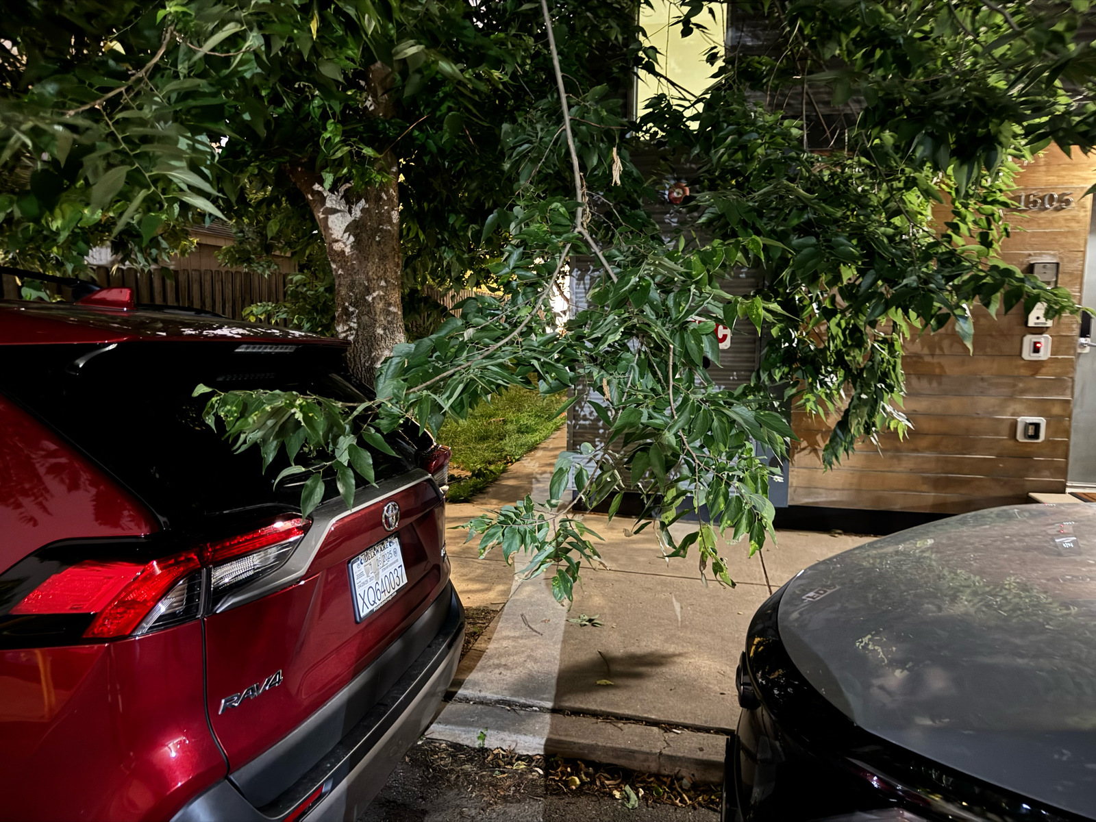 Photographic documentation of the work as submitted to the city's 311 record.