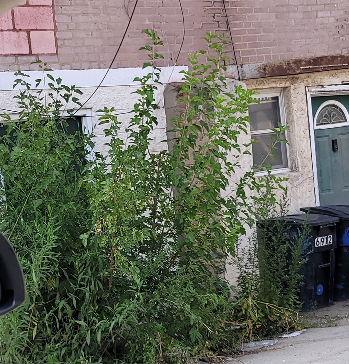 Photographic documentation of the work as submitted to the city's 311 record.