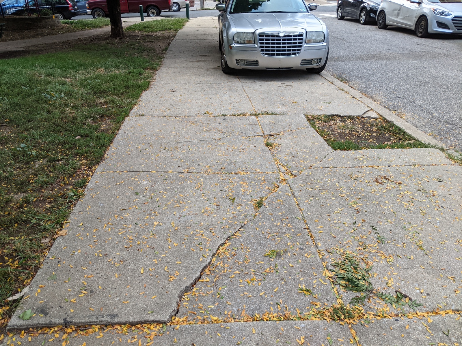 Photographic documentation of the work as submitted to the city's 311 record.