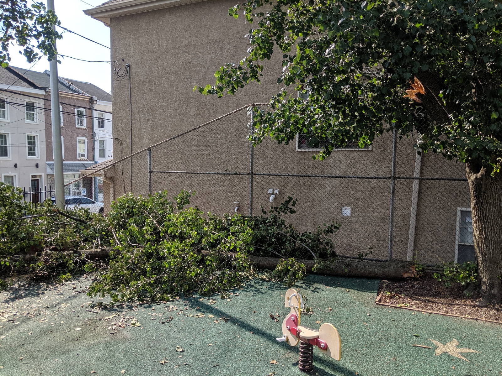 Photographic documentation of the work as submitted to the city's 311 record.