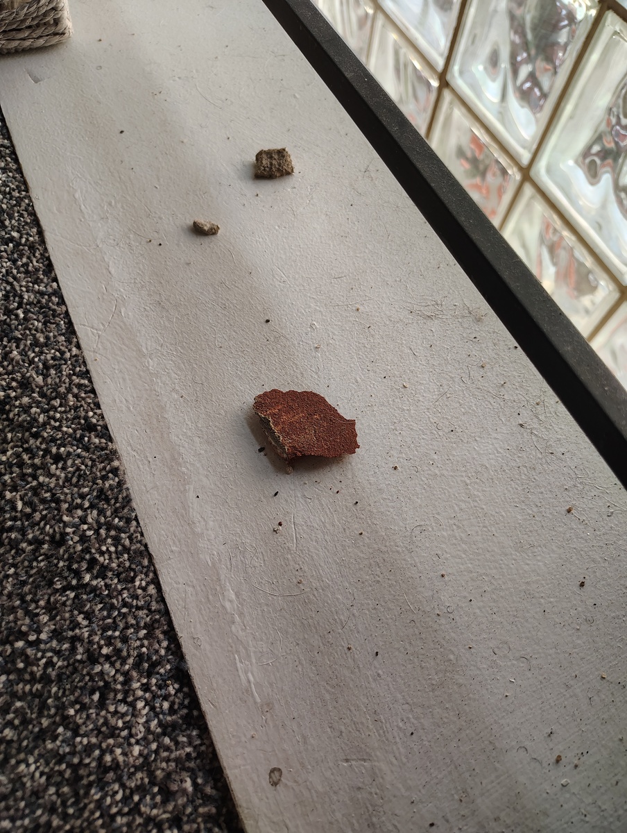 Photographic documentation of the work as submitted to the city's 311 record.