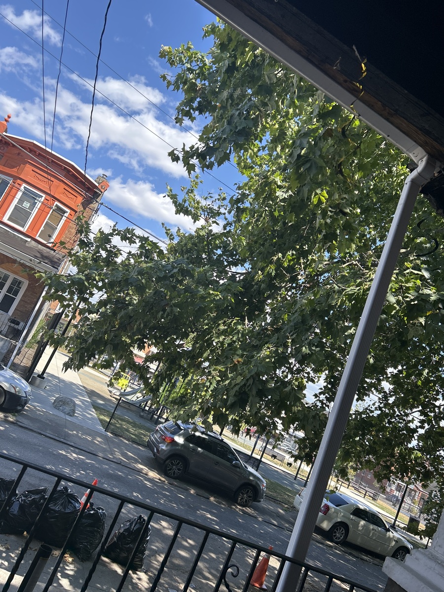 Photographic documentation of the work as submitted to the city's 311 record.
