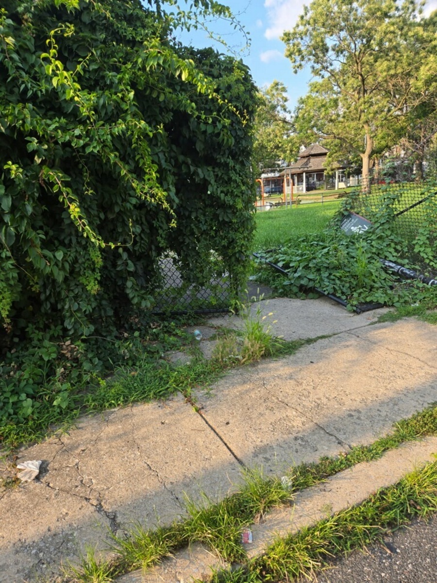 Photographic documentation of the work as submitted to the city's 311 record.