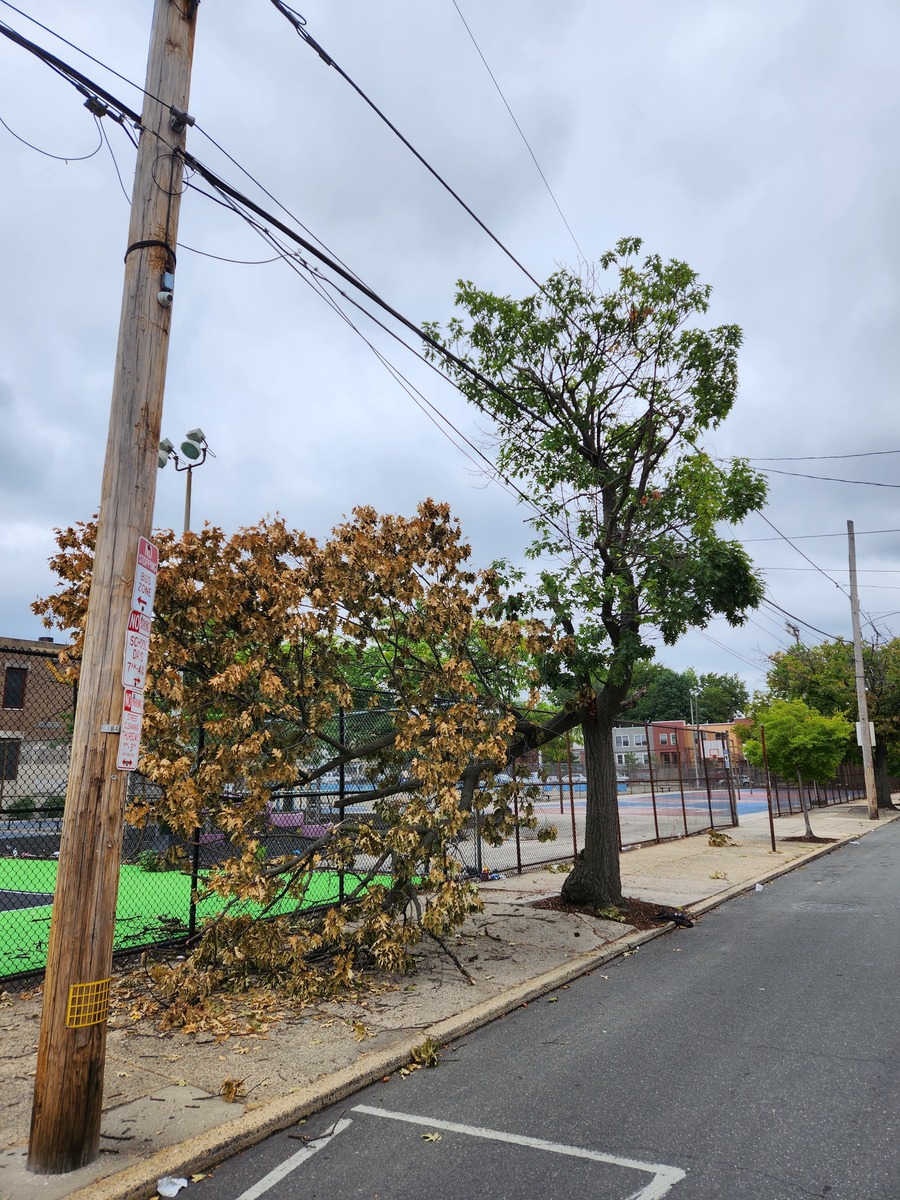 Photographic documentation of the work as submitted to the city's 311 record.