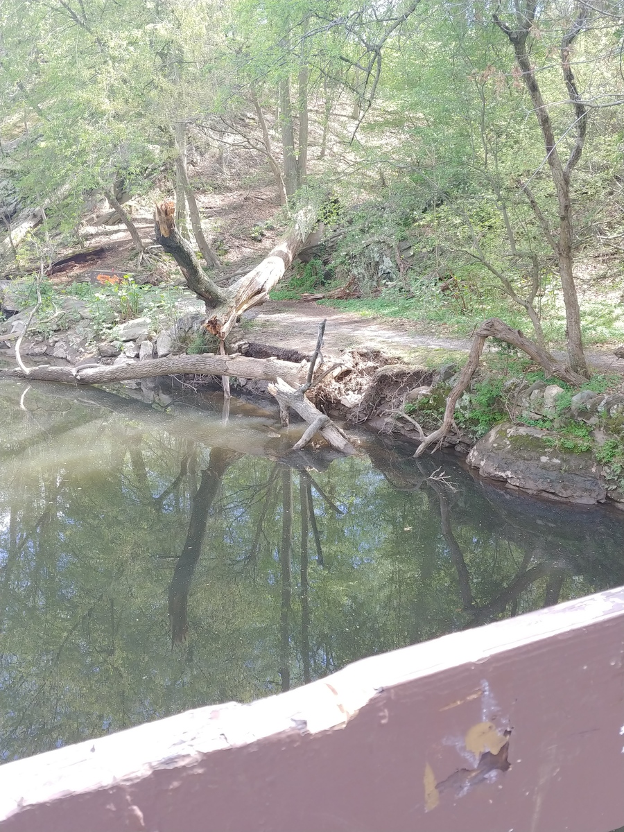 Photographic documentation of the work as submitted to the city's 311 record.