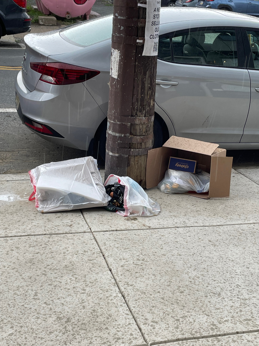 Photographic documentation of the work as submitted to the city's 311 record.