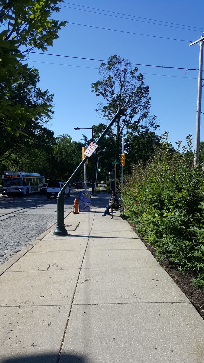 Photographic documentation of the work as submitted to the city's 311 record.