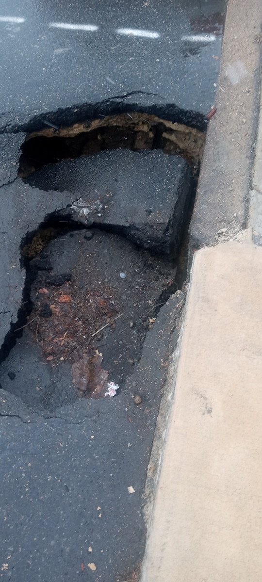 Photographic documentation of the work as submitted to the city's 311 record.