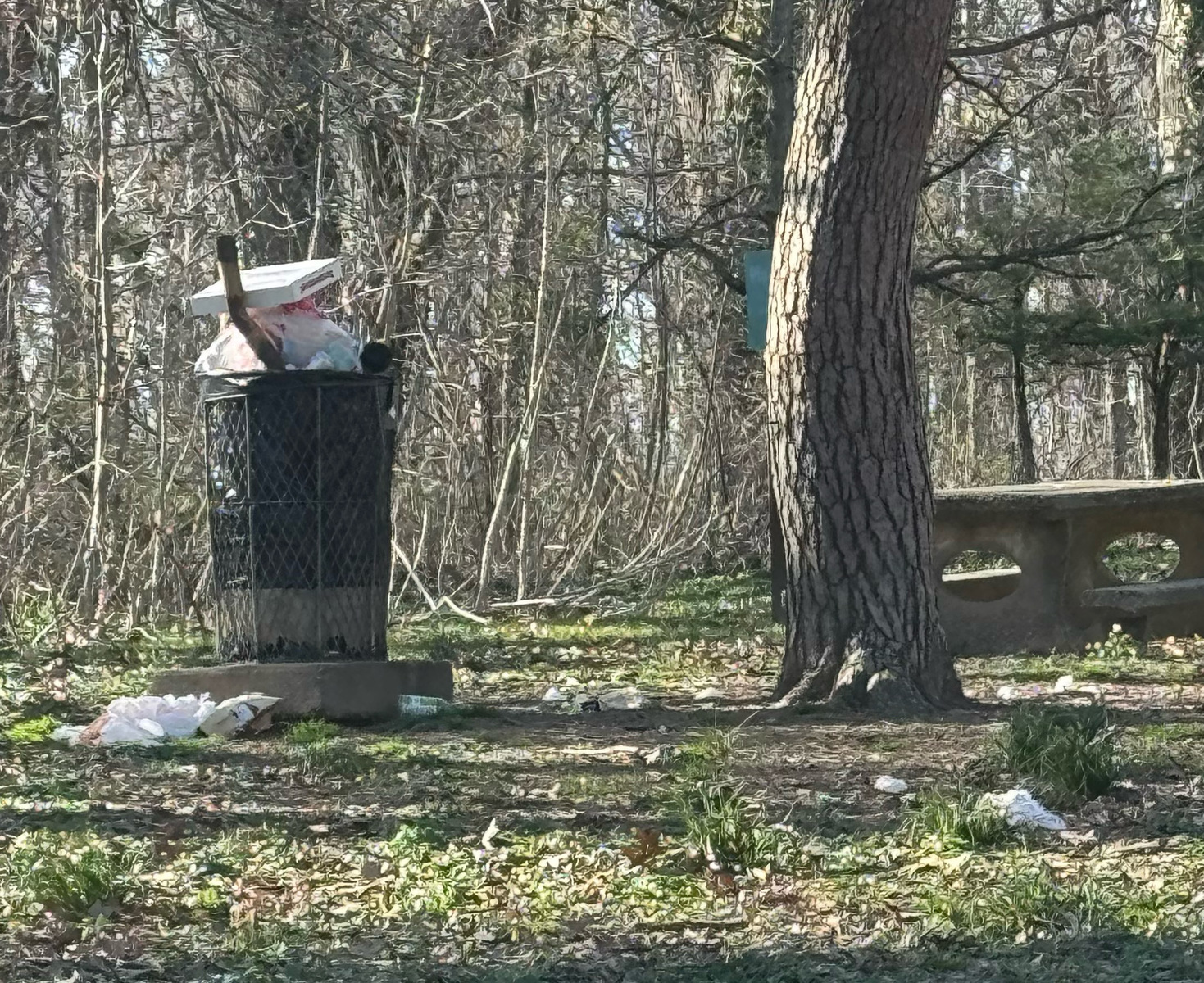 Photographic documentation of the work as submitted to the city's 311 record.