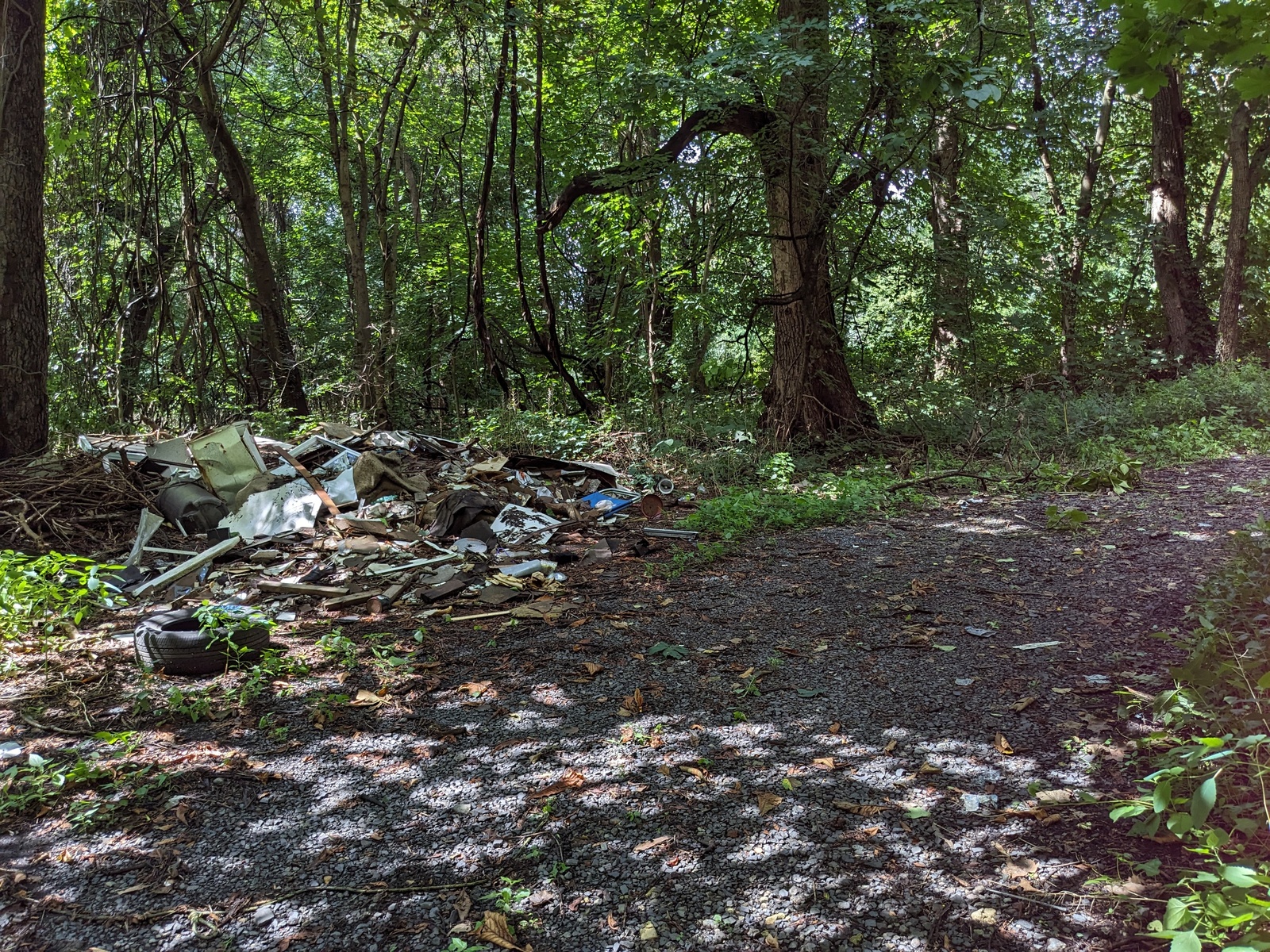 Photographic documentation of the work as submitted to the city's 311 record.
