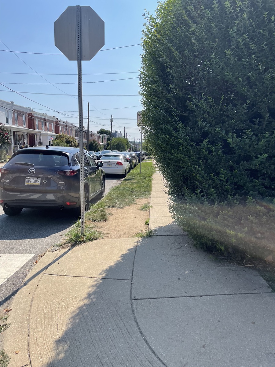 Photographic documentation of the work as submitted to the city's 311 record.