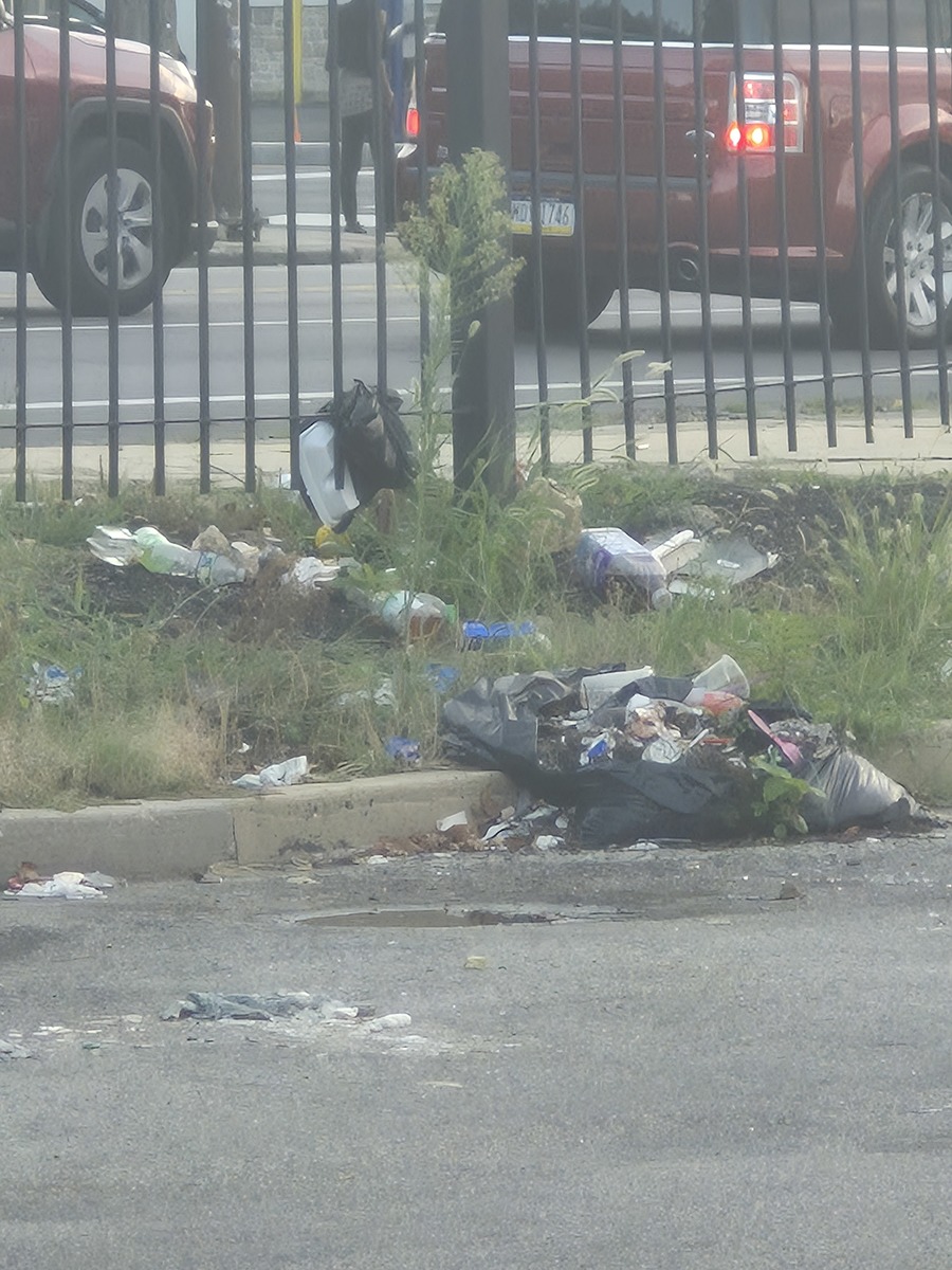 Photographic documentation of the work as submitted to the city's 311 record.