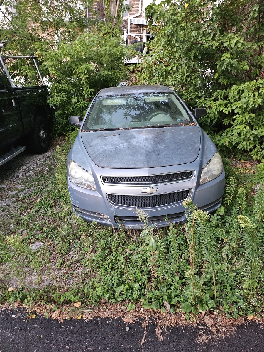 Photographic documentation of the work as submitted to the city's 311 record.