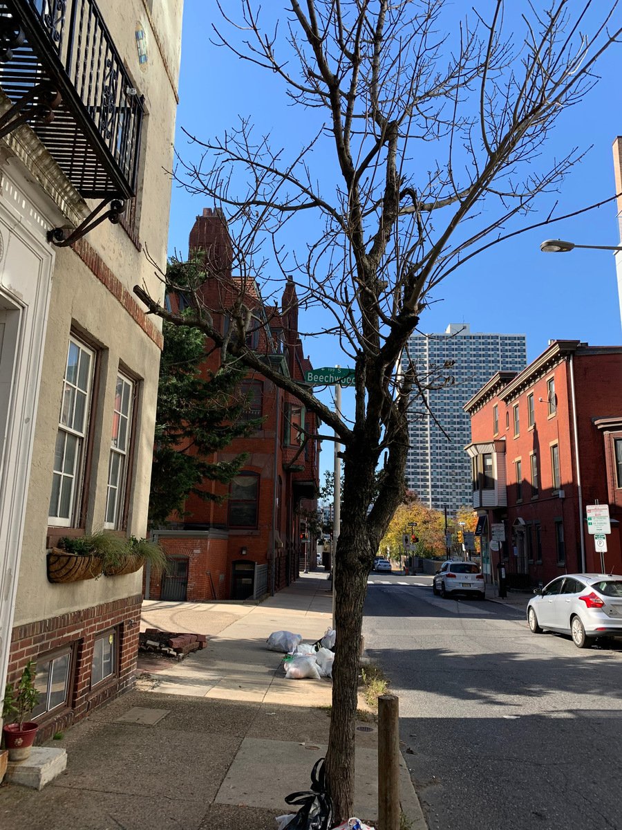 Photographic documentation of the work as submitted to the city's 311 record.