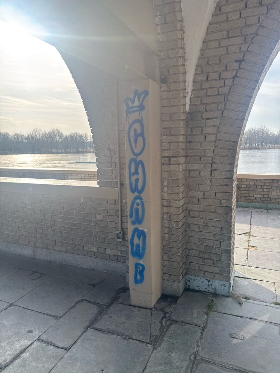 Photographic documentation of the work as submitted to the city's 311 record.