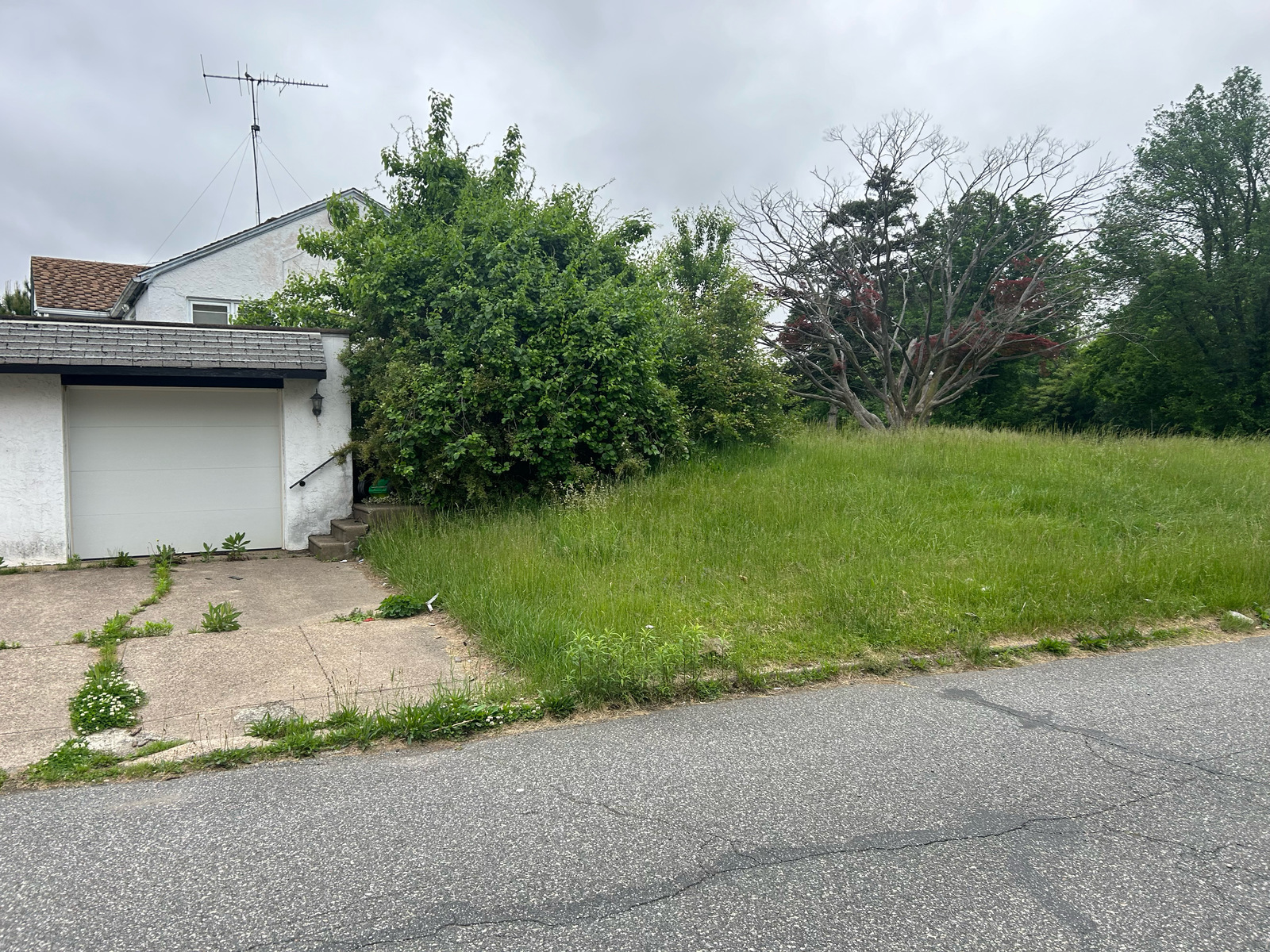 Photographic documentation of the work as submitted to the city's 311 record.