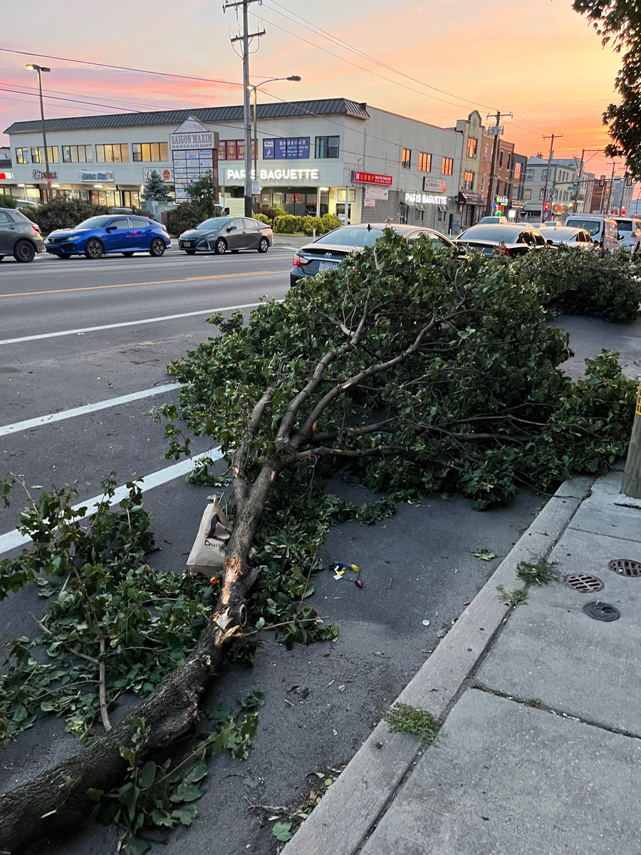 Photographic documentation of the work as submitted to the city's 311 record.