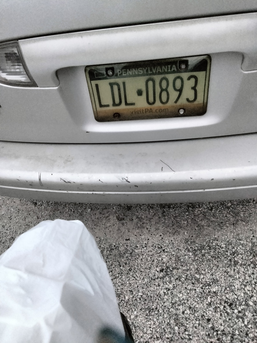 Photographic documentation of the work as submitted to the city's 311 record.