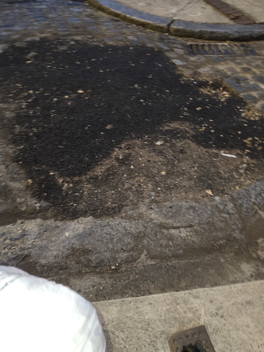 Photographic documentation of the work as submitted to the city's 311 record.