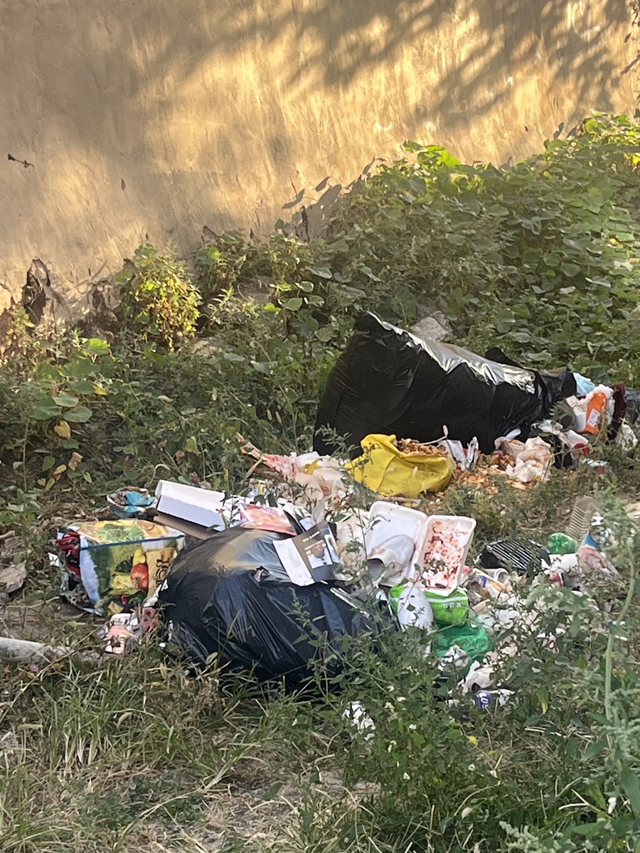 Photographic documentation of the work as submitted to the city's 311 record.