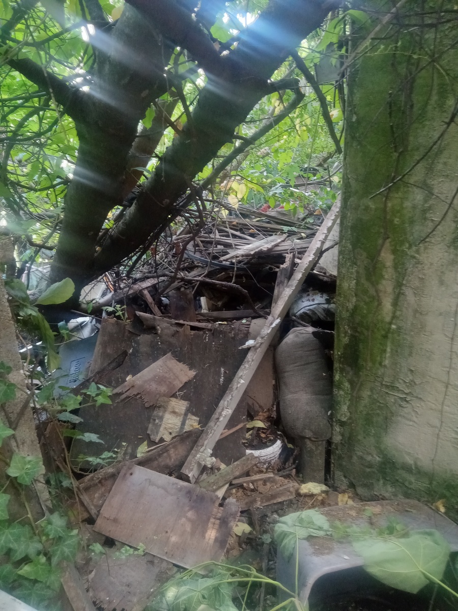 Photographic documentation of the work as submitted to the city's 311 record.